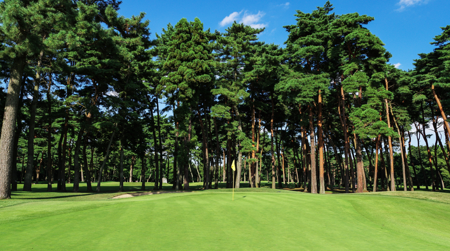 スライドショー01|hole17アザラシの鼻
