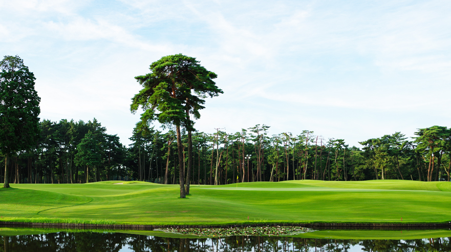 スライドショー02|hole18キリンの首