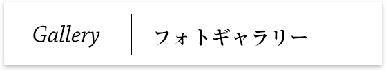 フォトギャラリー|Gallery